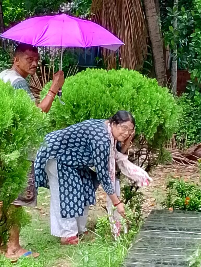 প্রকৃতি দিবস উপলক্ষে সারদায়ণের পক্ষ থেকে মাইকেলন কালীমাতার মন্দির প্রাঙ্গণে বৃক্ষরোপণ অনুষ্ঠান